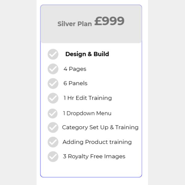 Website Silver Plan Thumbnail