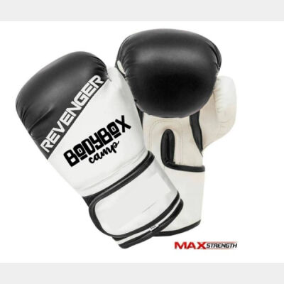 Revenger 12oz Boxing Gloves - One Size Thumbnail